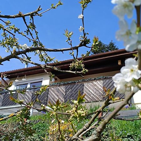 Ferienwohnung Zum Maerchenwald 贝格弗莱海特 外观 照片