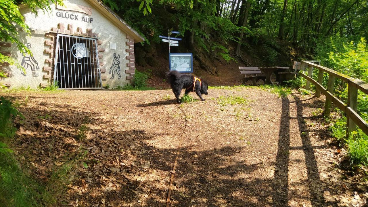 Ferienwohnung Zum Maerchenwald 贝格弗莱海特 外观 照片