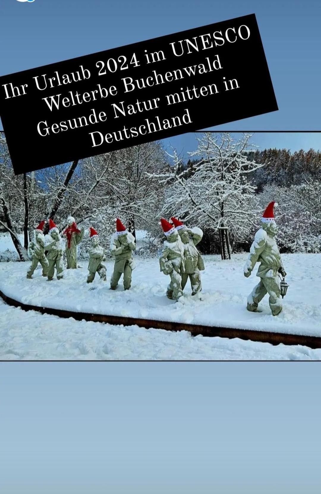 Ferienwohnung Zum Maerchenwald 贝格弗莱海特 外观 照片
