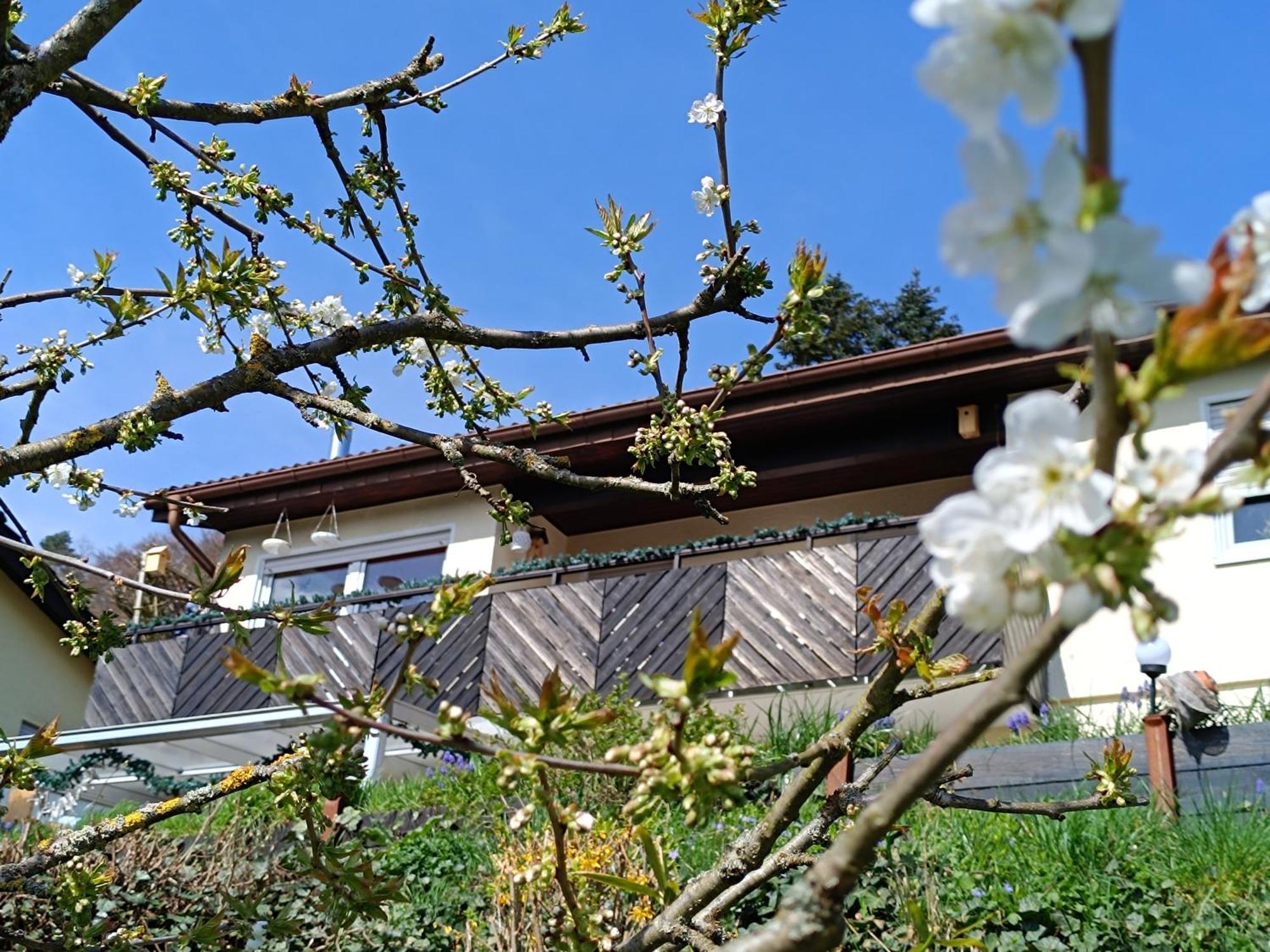 Ferienwohnung Zum Maerchenwald 贝格弗莱海特 外观 照片