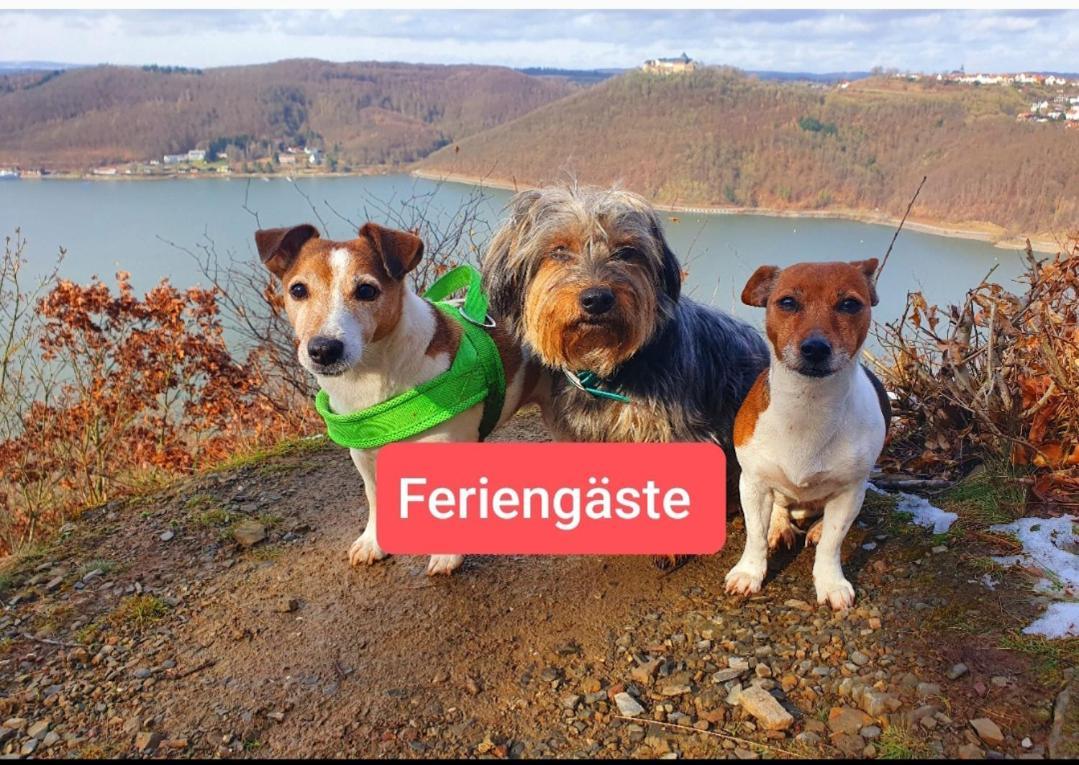 Ferienwohnung Zum Maerchenwald 贝格弗莱海特 外观 照片