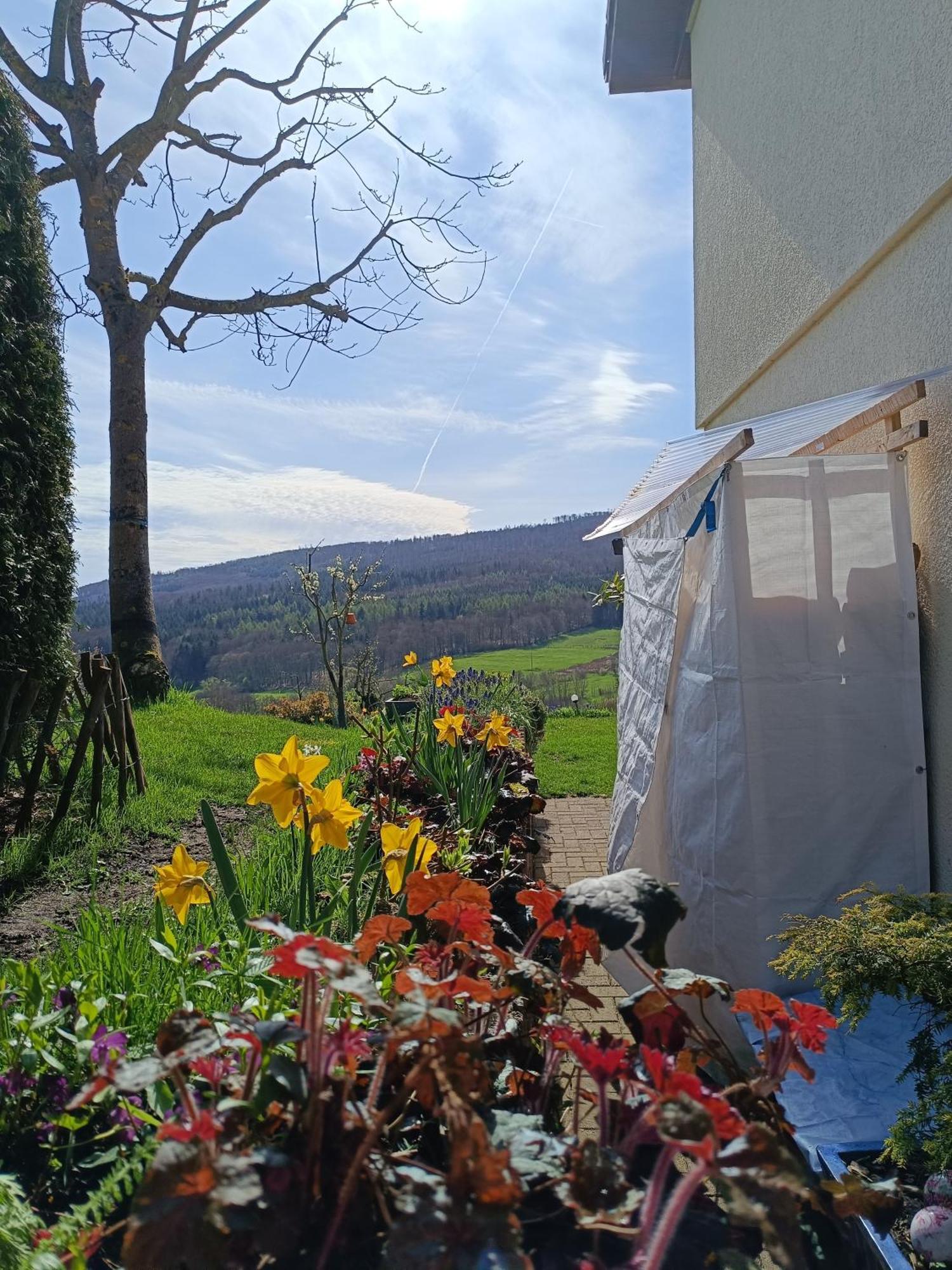 Ferienwohnung Zum Maerchenwald 贝格弗莱海特 外观 照片