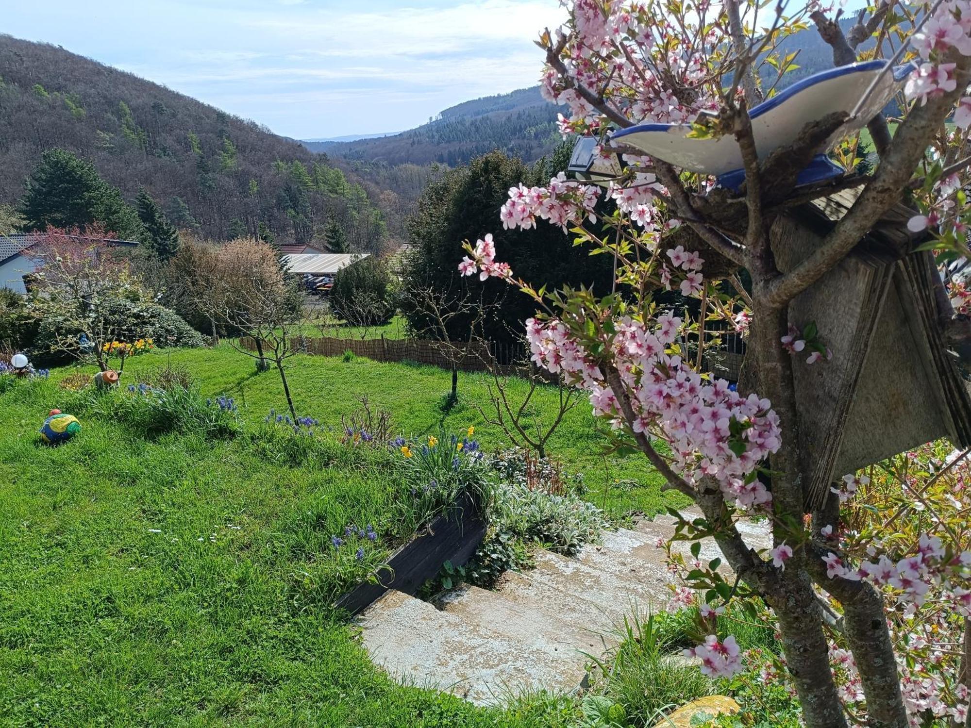 Ferienwohnung Zum Maerchenwald 贝格弗莱海特 外观 照片